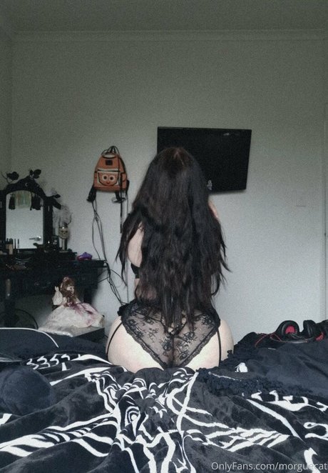 morguecat セックススター 写真