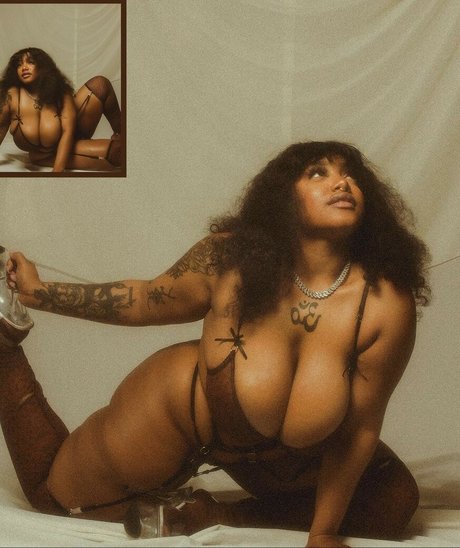 Oyastorms ポルノスター ベスト 写真