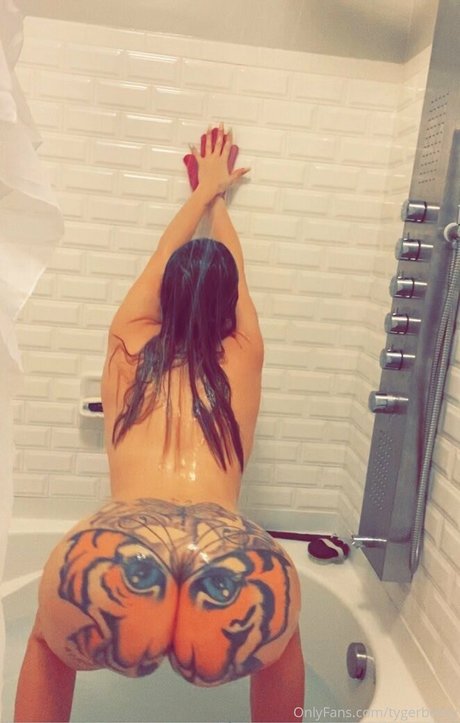 tygerbooty 高品質のスター 写真