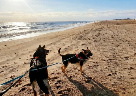 角質の女の子オンリーファンズ ホットxxx 画像