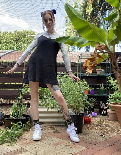 nikki wtsm 素敵なスター 写真