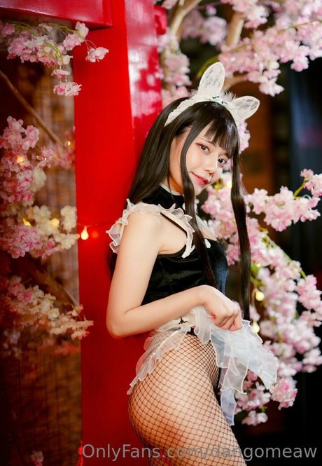 Dango Meaw xxxポルノスター 写真