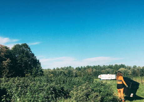 danceincannabis 無料のポルノスター 写真