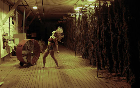 danceincannabis プロフィール写真