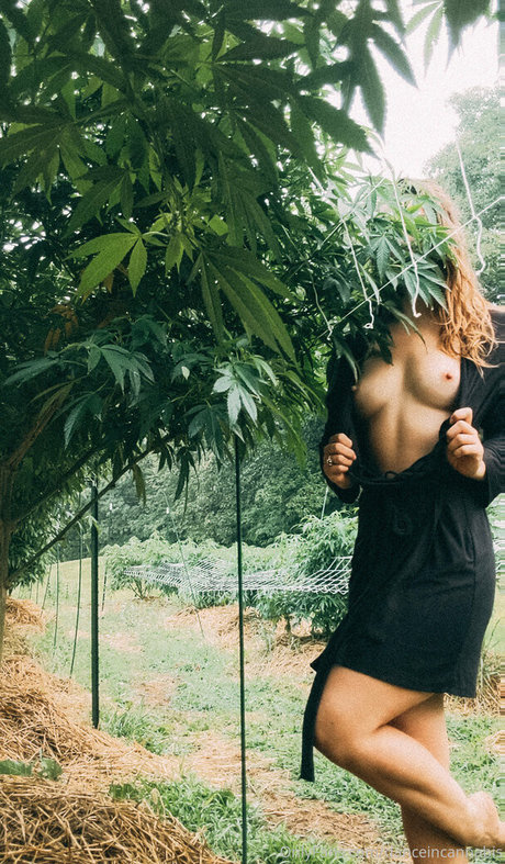 大学のアジア人オンリーファンズ セクシーヌード 写真