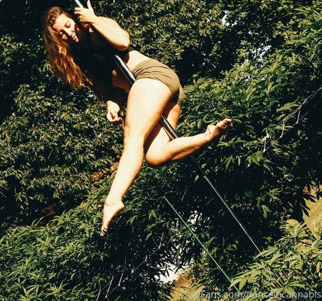 danceincannabis ポルノスター アダルト 写真