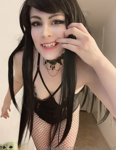 saltedcat free ポルノスター トップ 写真