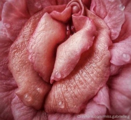 miss gabrielle g HDモデル 画像