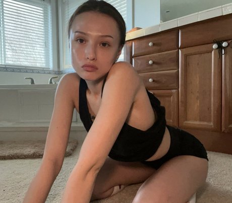 Fragile rosetta アートスター ギャラリー