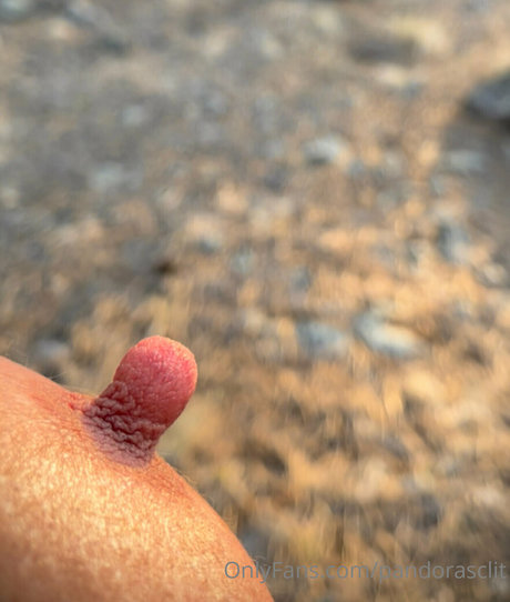 Pandorasclit ヌードモデル 写真