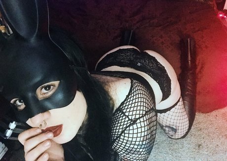 hammerheadneko セクシーなポルノスター 写真