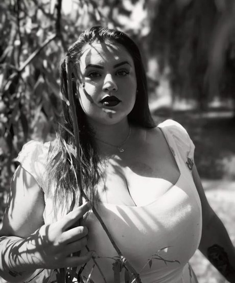 Babu Vale プロフィール写真