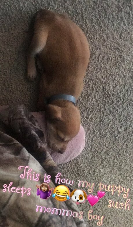 secretrene アートモデル 写真