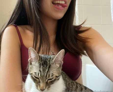 everybodymeow プロフィール写真