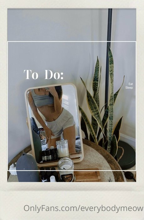 everybodymeow ポルノスター セックス アーカイブ