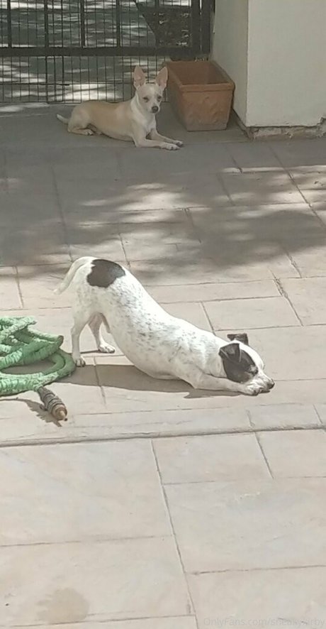 sneakykirby HDモデル 画像