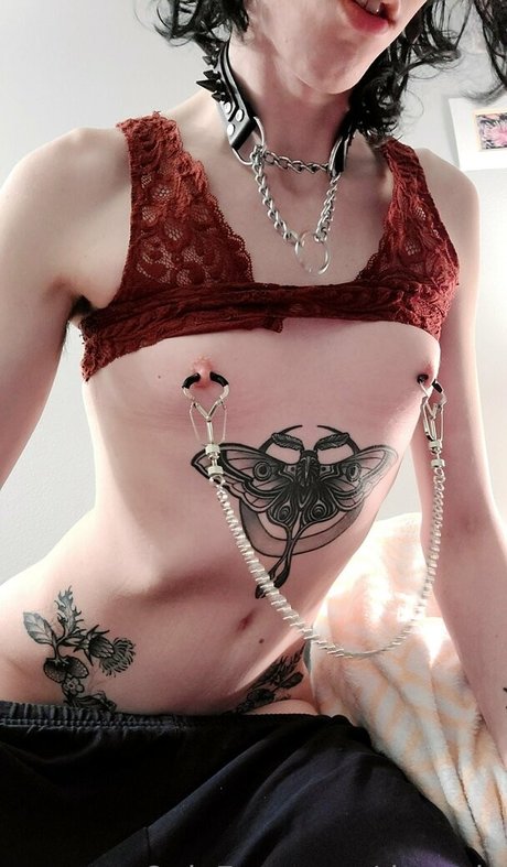 ゲイジムオンリーファンズ ベスト 写真