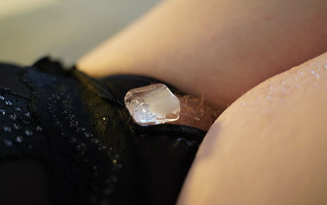 furry foxxy 最高のスター 写真