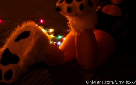 furry foxxy 美しいポルノスター ギャラリー