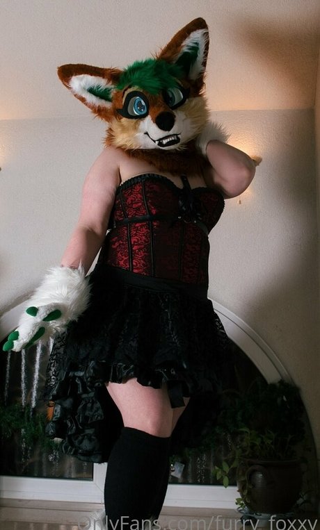 furry foxxy 無料モデル 写真