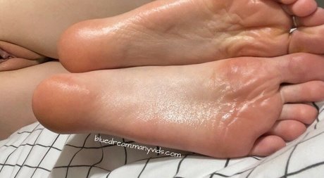 bluedream プロフィール写真