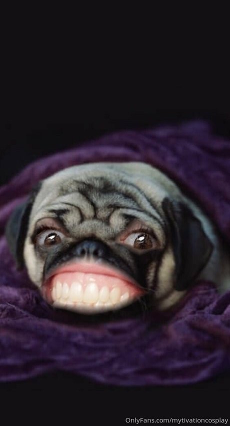 veryyes ポルノスター 画像