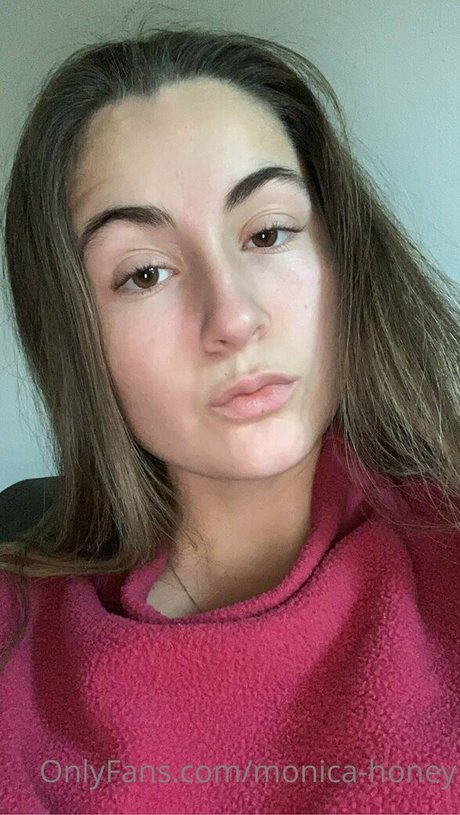 monica honey HDモデル 画像