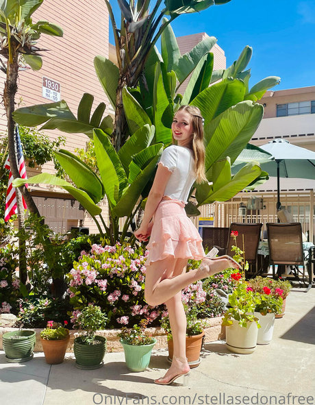 stellasedonafree スター ヌード 画像