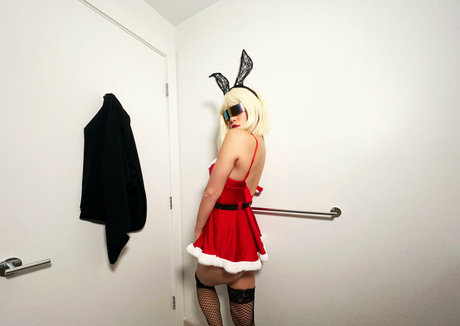 disckoland ポルノスター 写真