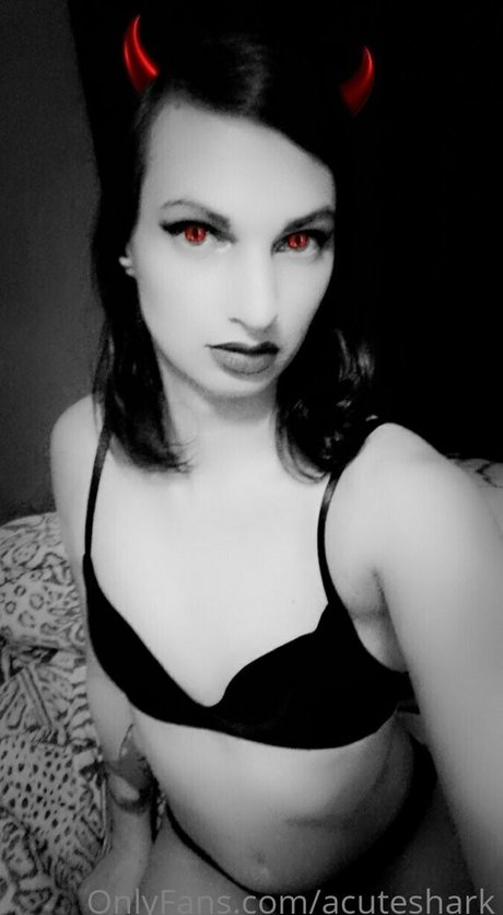 acuteshark プロフィール写真