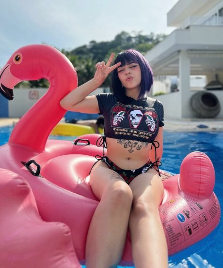 agnesmelo oficial セクシーなスター 画像