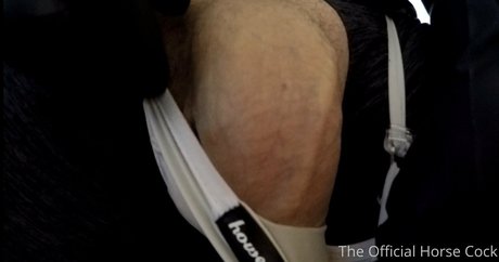 horse cock ヌードスター 写真