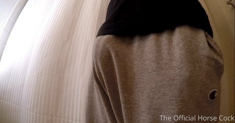 horse cock 無料女優 ギャラリー