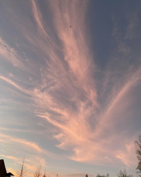 emily morgan HDスター 画像