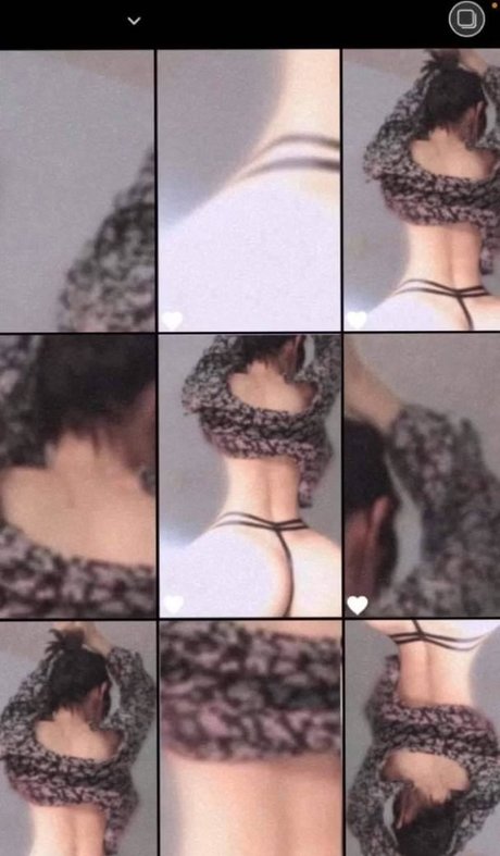 Cmp Perla 限定モデル 写真