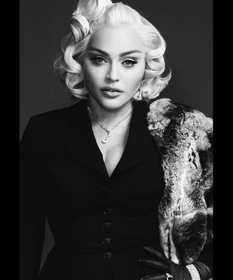 弁護士オンリーファンズ ホットポルノ 写真