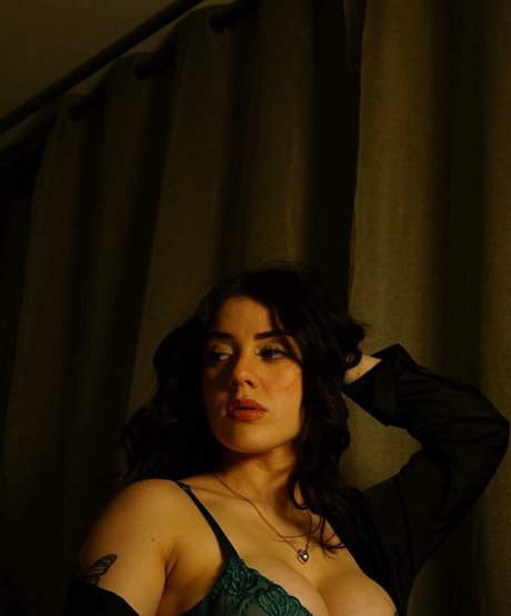 realkingcarle スター ギャラリー