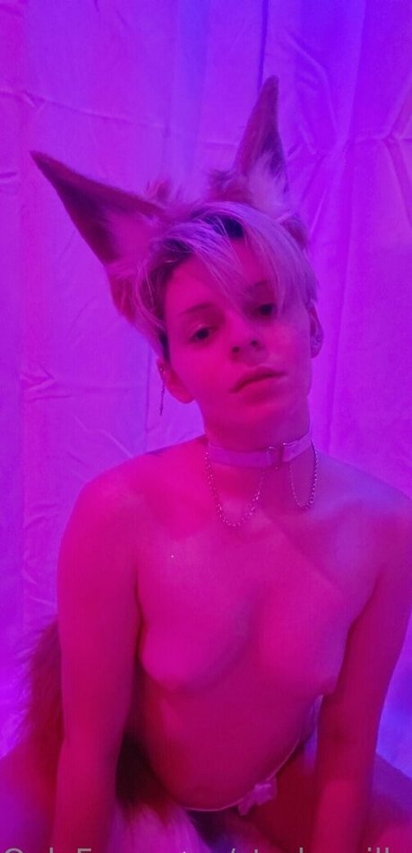 starkzzzilla ホットなポルノスター 写真