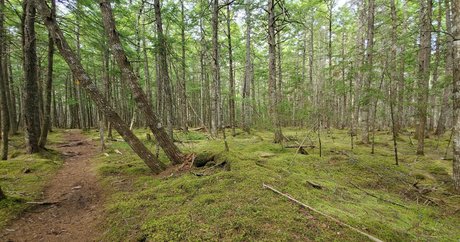 ジャークオンリーファンズ セクシーxxx アーカイブ