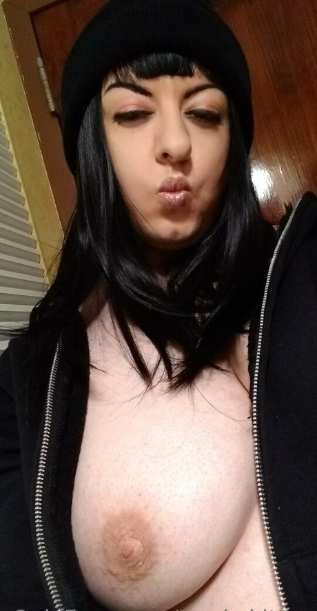 trash kitten ポルノスター ベスト 画像