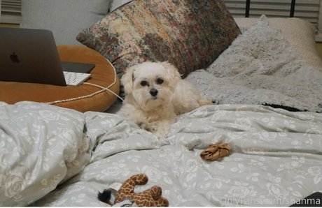 アラブの熟女オンリーファンズ 素敵 写真