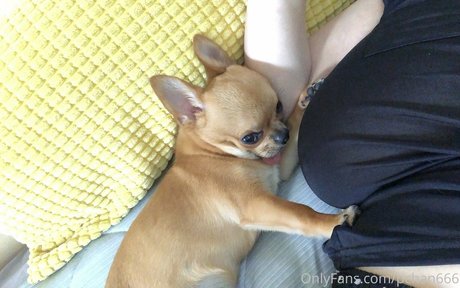 Pchan 666 裸の女優 写真