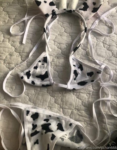 Pchan 666 XXXモデル 写真