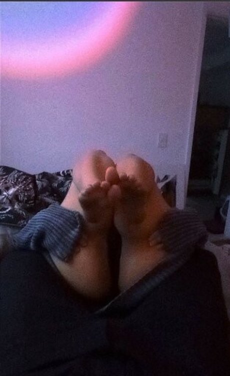 Melitta Coffee 素敵なスター 写真