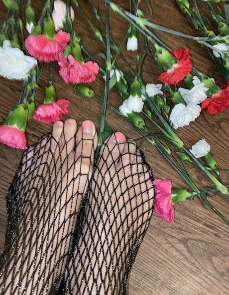 paisleypepper 最高のスター アーカイブ