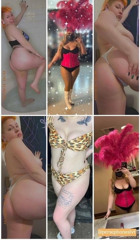 ワックスオンリーファン ベスト 画像