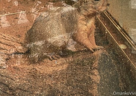 ビキニプリンセスオンリーファンズ 無料ポルノ 写真