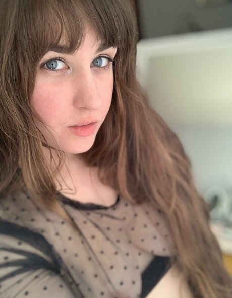 ダウンオンリーファン パーフェクト 写真