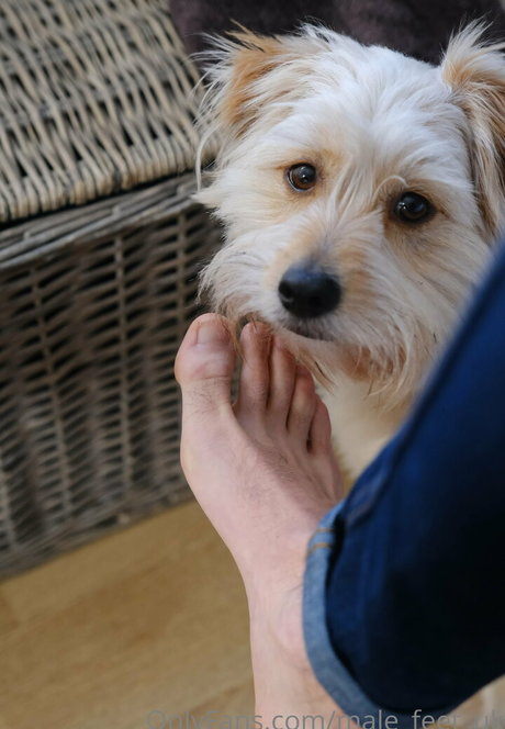 male feet uk ヌードスター ギャラリー