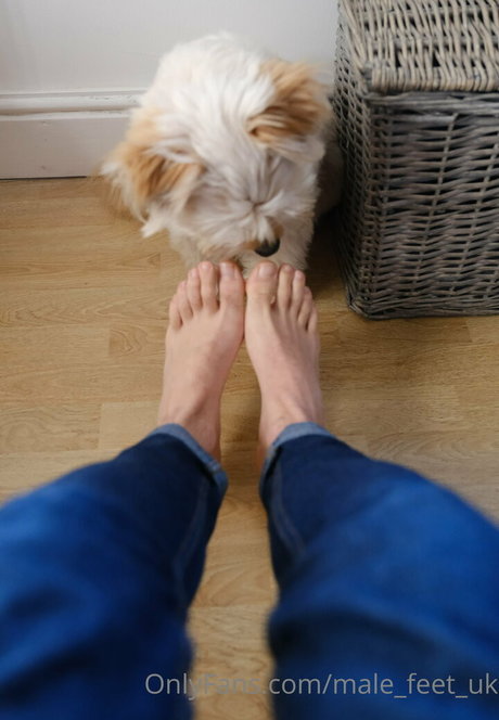 male feet uk 限定スター 写真